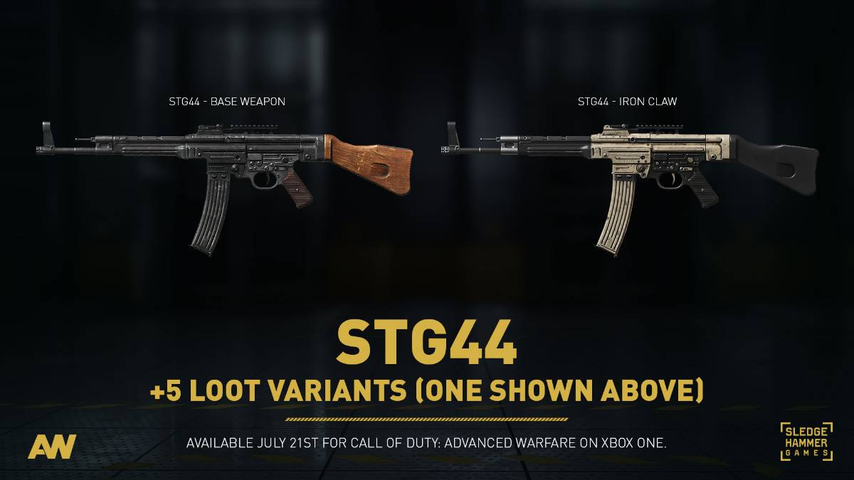 COD New Weapons STG44