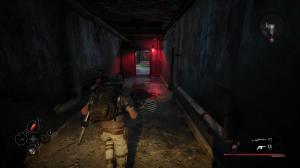 remnant from the ashes ps4 blue screen