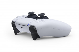 PS5 Paddle Controller