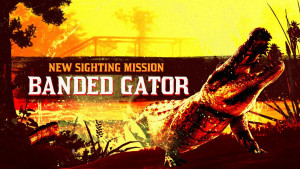 Red Dead Online Weekly Update August 25