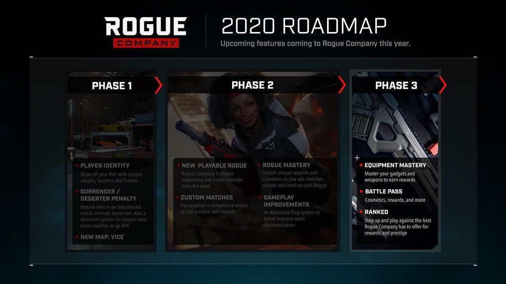 rogue company roadmap