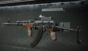 Black Ops Cold War AK 47 Gun Guide