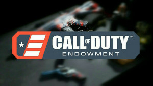 Call of Duty Endowment