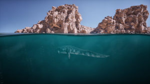 instinction interview