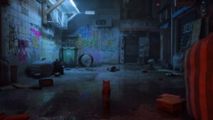 Stray
