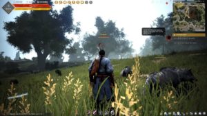 Black Desert Online Update 2.33