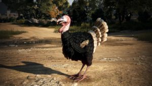 black desert online update 2.09