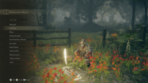 Elden Ring Rune Farming Spot early Game Guide