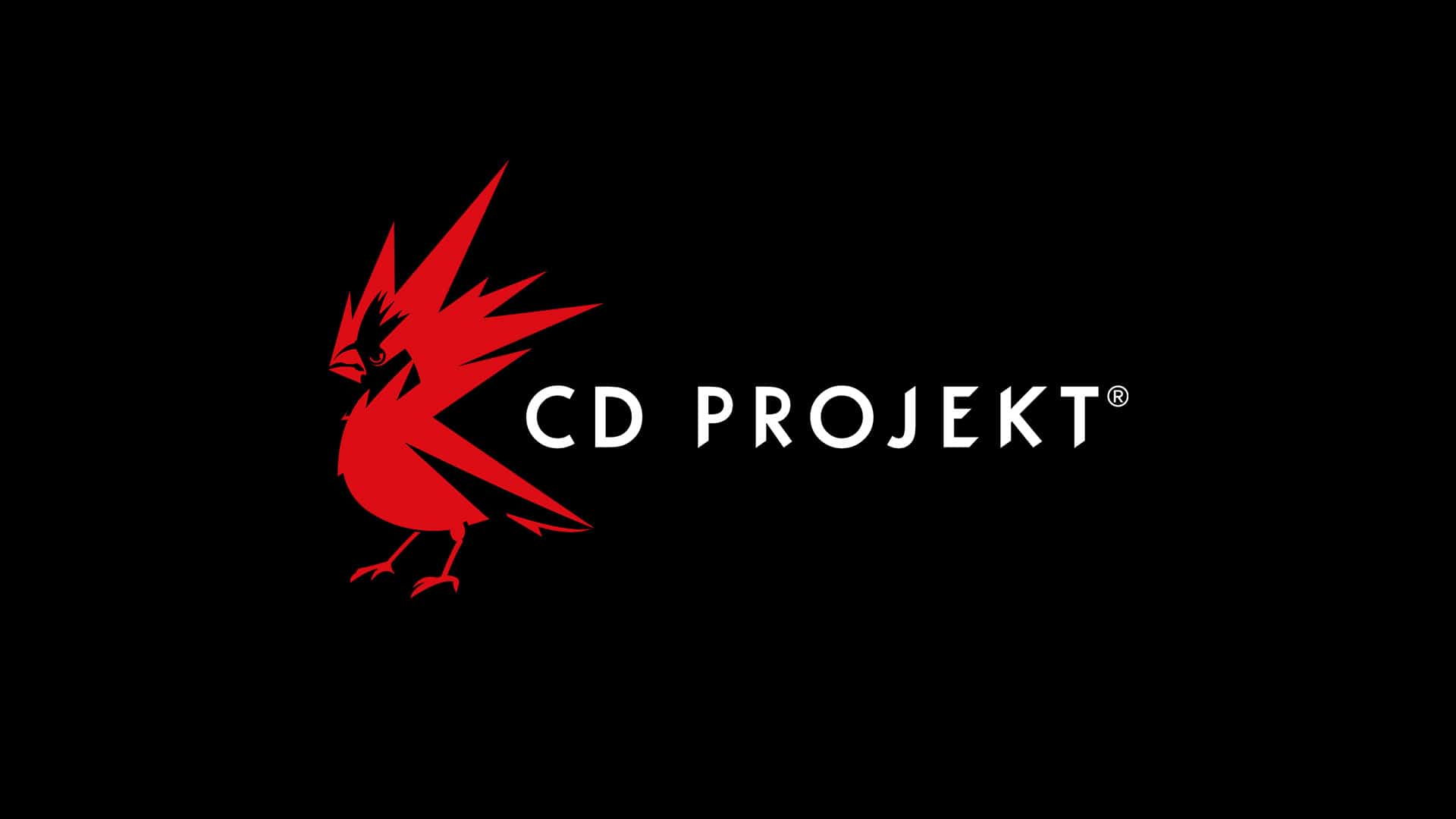 cd projekt new ip