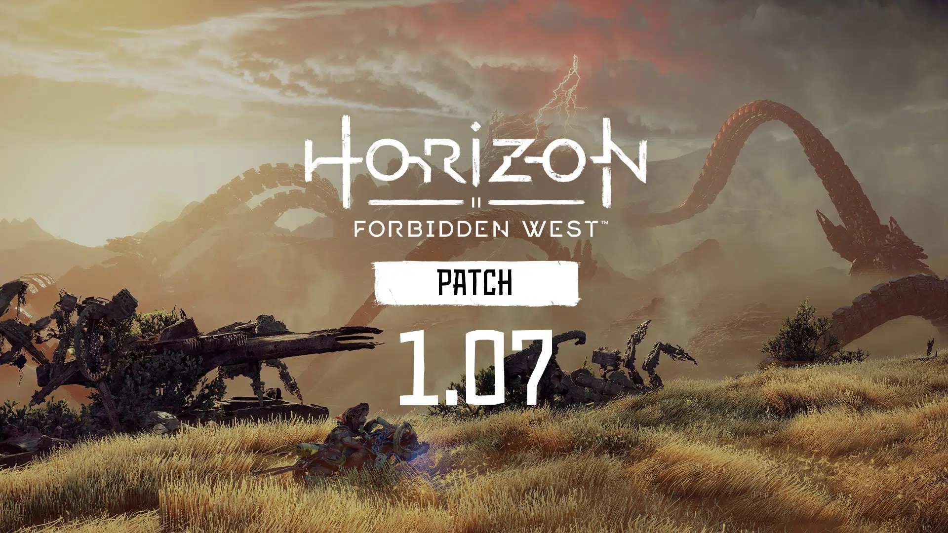Horizon Forbidden West Update 1.07