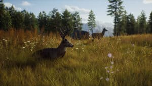 way of the hunter