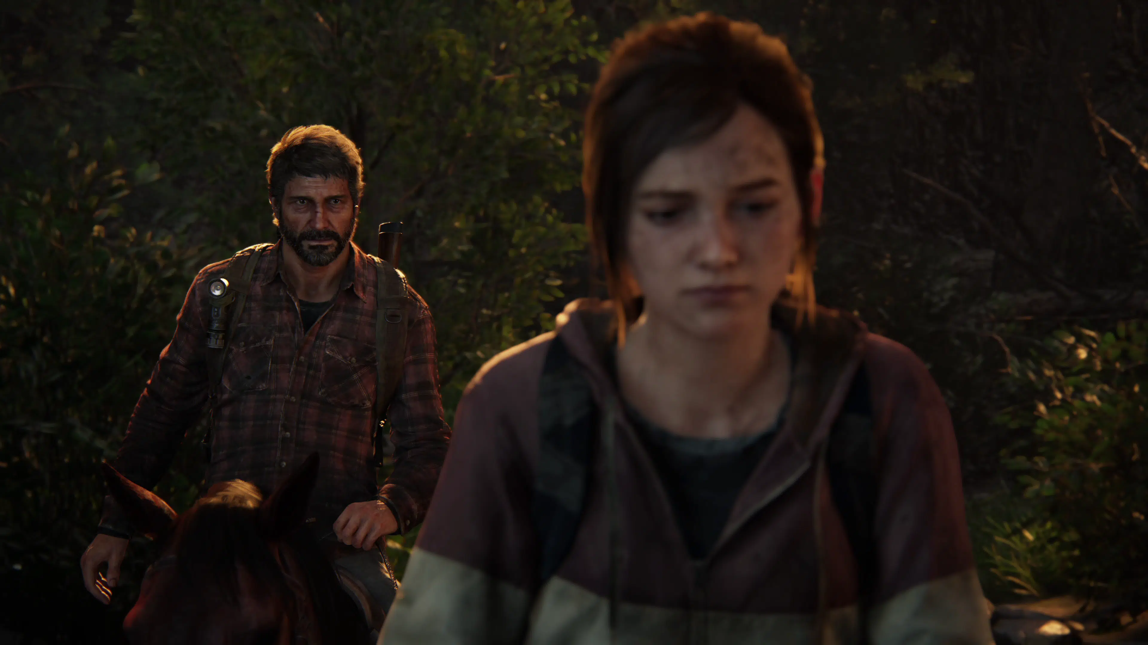 the last of us update 1.003