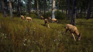 way of the hunter explanation trailer