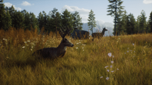 Way of the HUnter Launch trailer