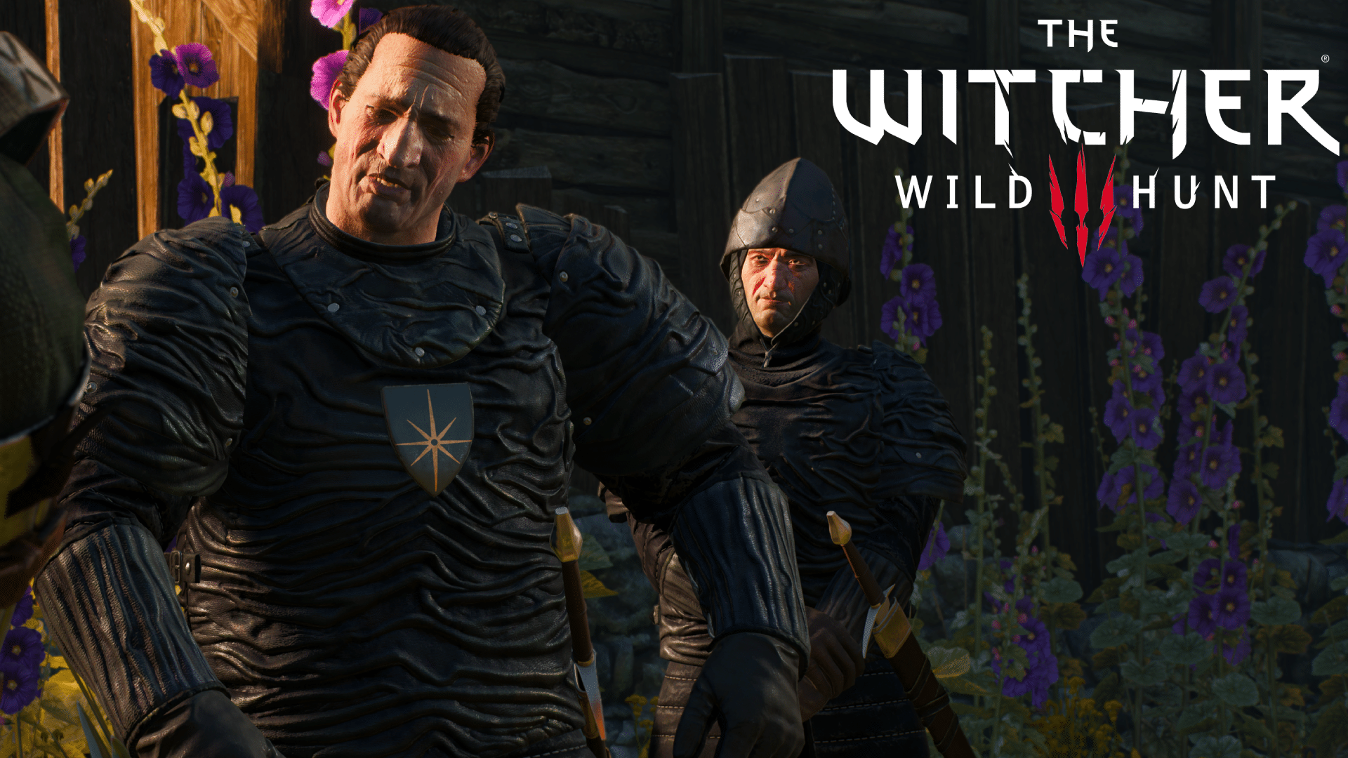The Witcher 3 - How to Enabled Netflix's Scrotum Outfit for Nilfgaardians