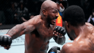 EA UFC 4 Update 25.00