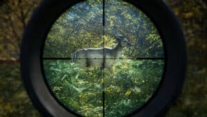 theHunter: Call of the Wild Update 1.77