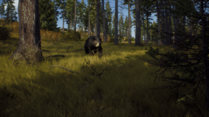 way of the hunter DLC