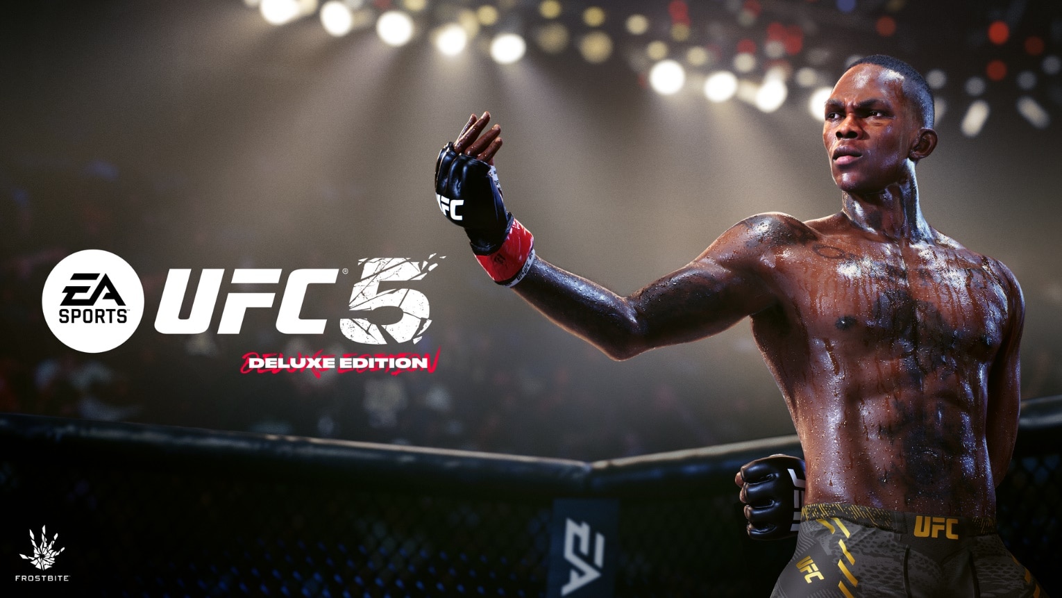 EA UFC 5 release