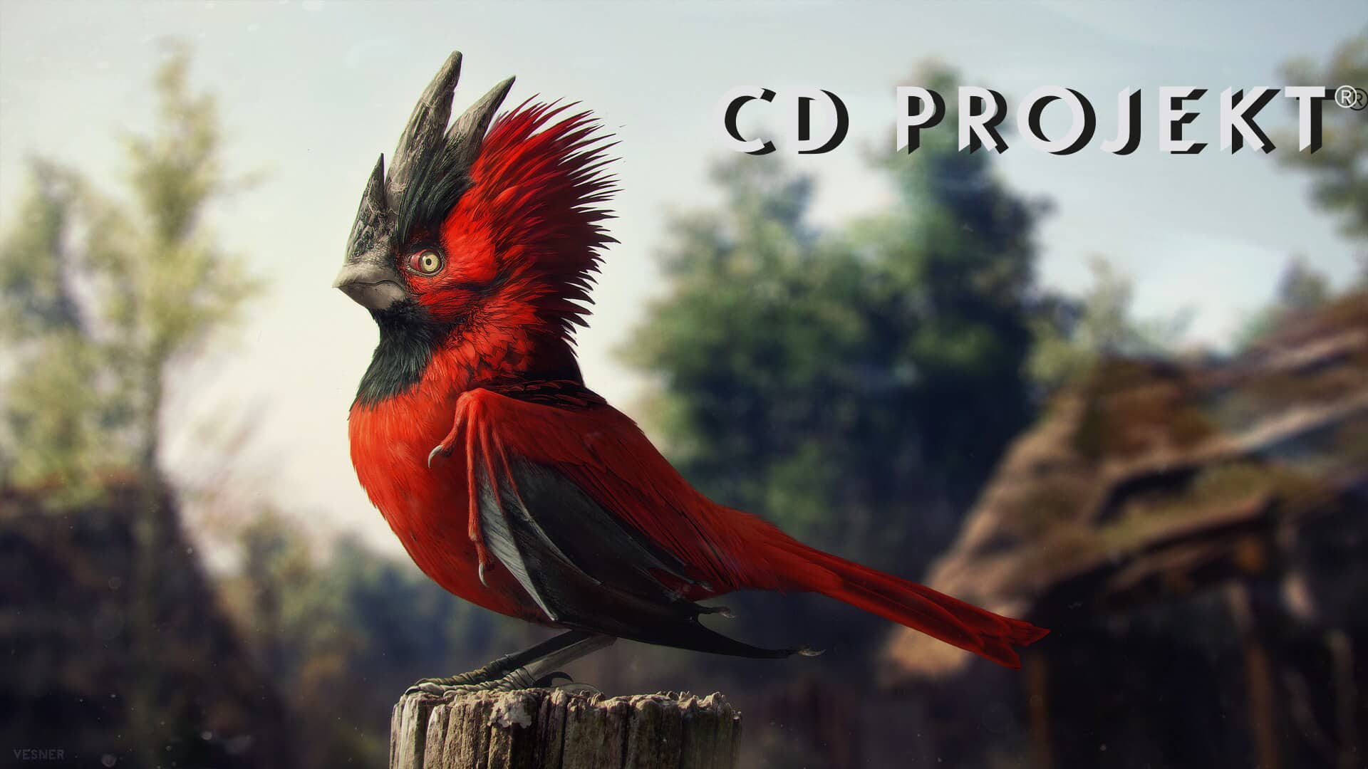 CD Projekt Red acquisition