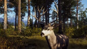 Way of the Hunter Update 1.000.030 Patch Notes December 12