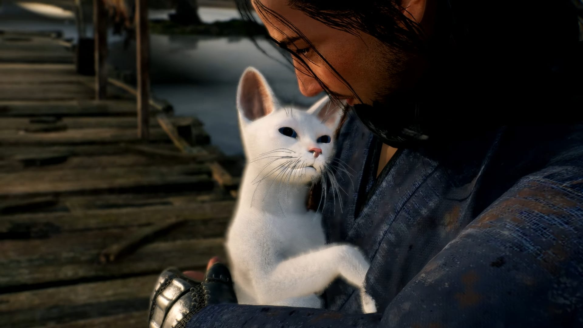 Rise of the Ronin New Trailer Showcases Gorgeous Landscapes and Cats - MP1st