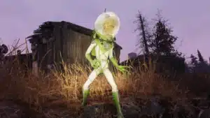 Fallout 76 Update 1.88