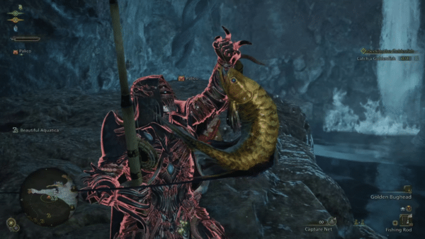 Monster Hunter Wilds - Where to Find the Goldenfish