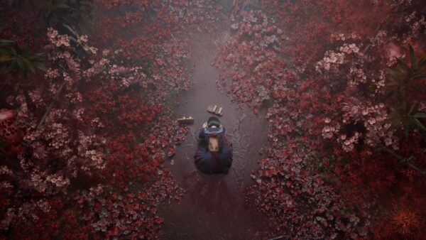 Silent Hill f Review - Into the Fog