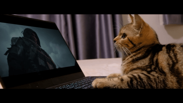 Delta Force's April Fools' Event Is Now Live, and It Brings Cats