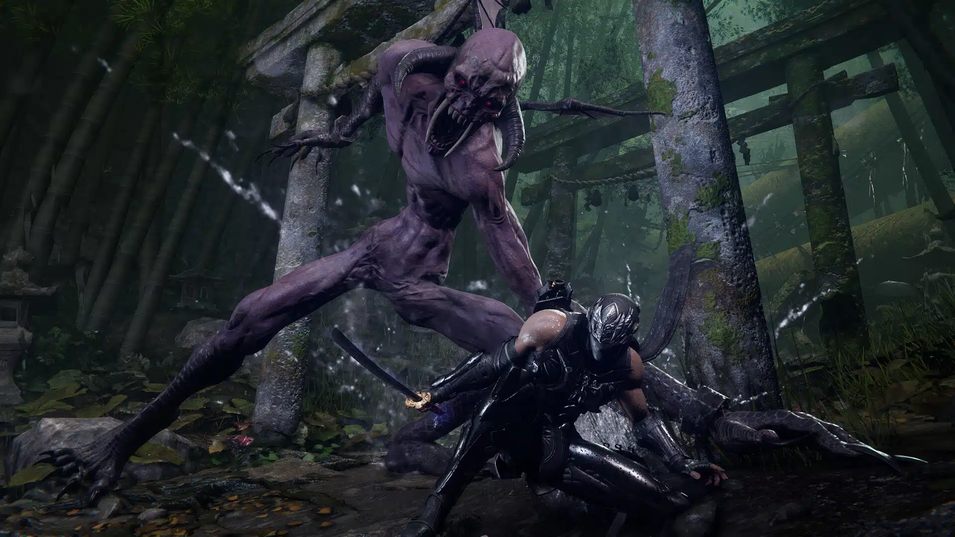 Aktualizacja 1.002 Ninja Gaiden 4 wymyka się 28 października