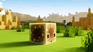 Minecraft update 3.50