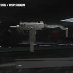 MW3 WSP Swarm